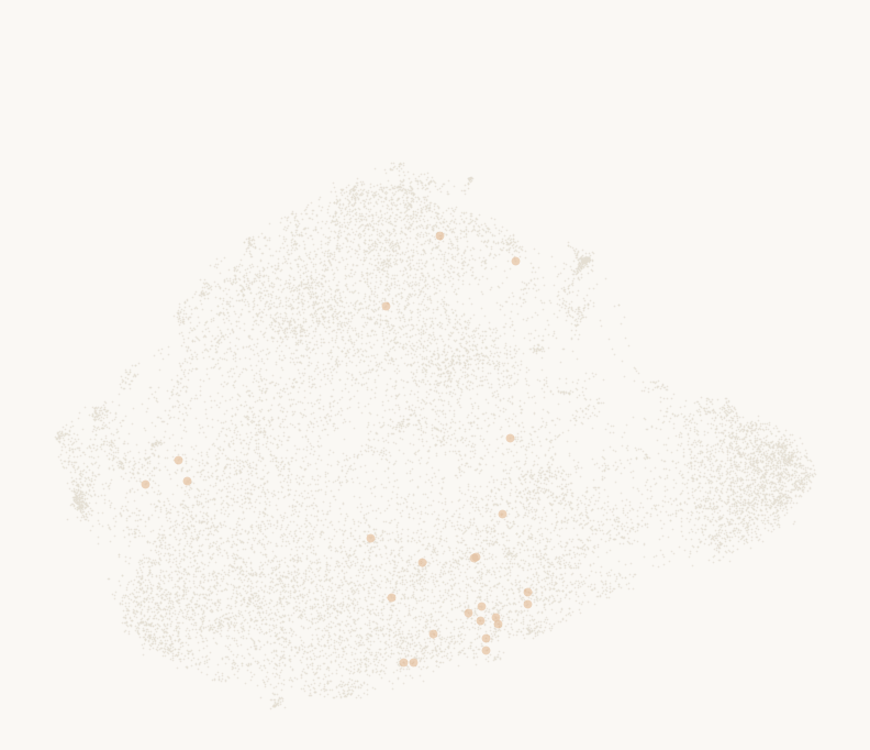 Animation of the feature map as Gemma writes a sentence word by word, with the 25 features glowing as they fire.